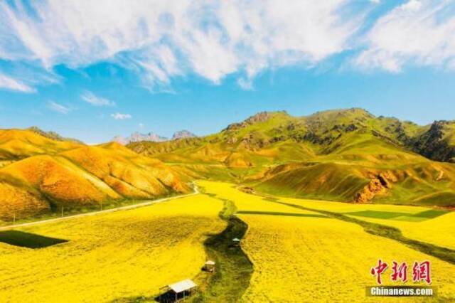 资料图：图为祁连夏日风景美如画。赵海梅摄