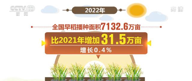 今年全国早稻播种面积稳中有增 早稻产量继续保持增长