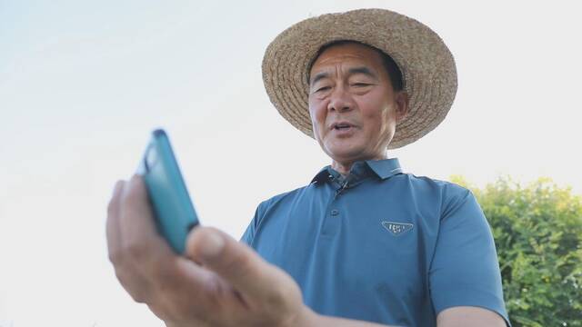 8月25日，河南省商水县种粮大户邱守先正在用手机操控喷头为庄稼灌溉。新华社记者杨静摄