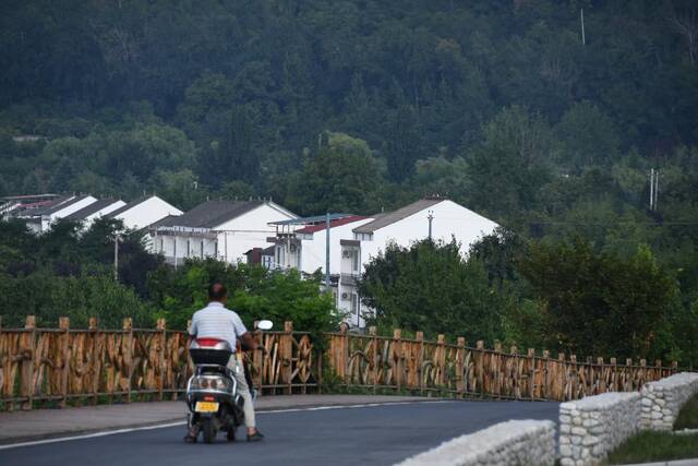 这是西安市鄠邑区蔡家坡村的乡间道路（8月15摄）。新华社记者张斌摄