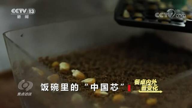 焦点访谈：餐桌内外看变化——饭碗里的“中国芯”