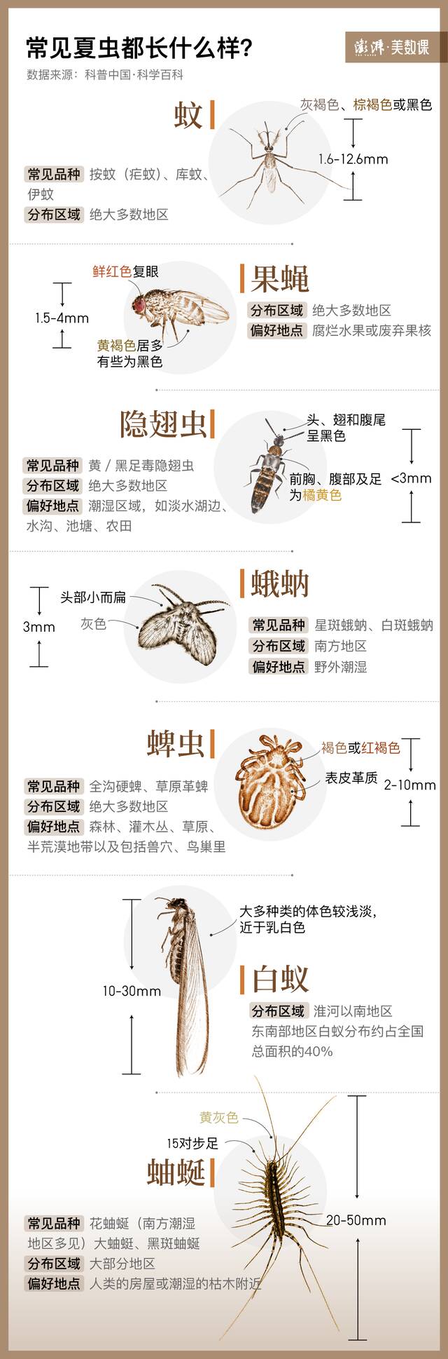 今年夏天蚊子少了，是被热死了吗？