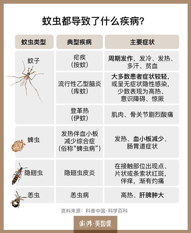 今年夏天蚊子少了，是被热死了吗？