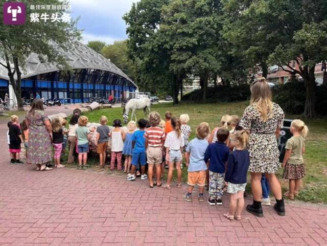荷兰幼儿园小朋友围住“穗穗”观看