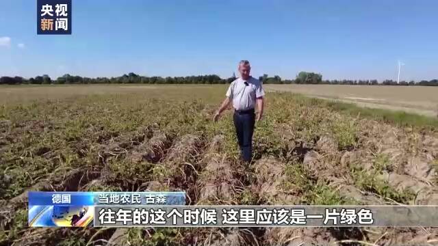 500年一遇大旱重创粮食收成 欧盟再下调玉米产量预期