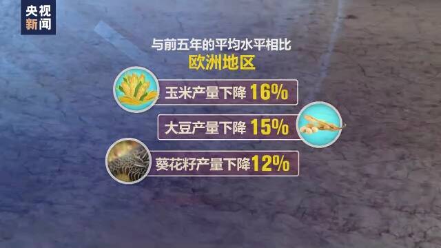 多轮热浪侵袭 欧洲经历高温“烤”验