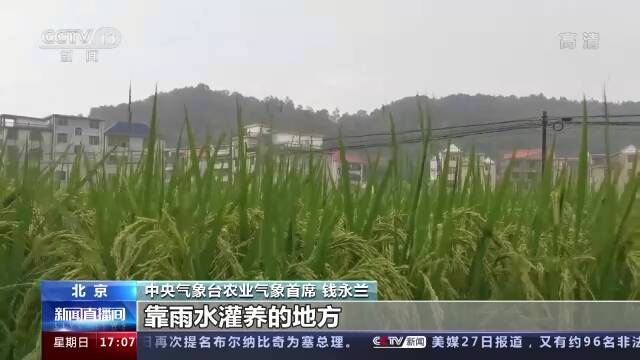 专家解读：高温少雨天气趋于结束 部分地区墒情改善