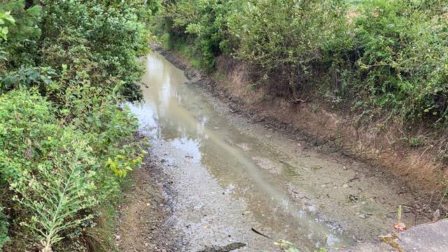 程昭元稻田边的河道几近干涸，难以抽水时代周报记者王晨婷摄