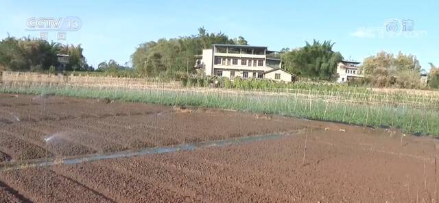 重庆：发挥水利工程效益 牢牢守住农村饮水安全底线