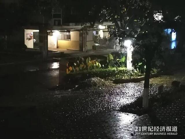 28日晚上，重庆南岸区带着浓烈泥腥味的雨下了文静/摄