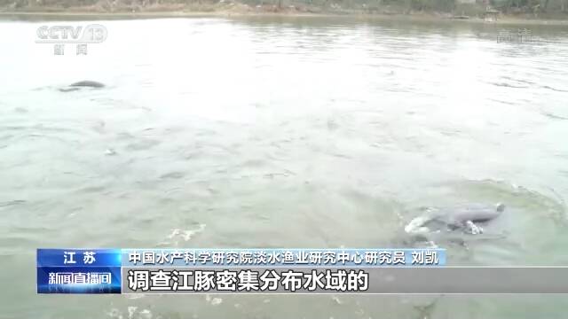 鄱阳湖严重缩水，给江豚带来哪些影响？