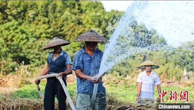 “产粮大县”湖南东安做好“水文章”全力抗旱保民生付勇摄