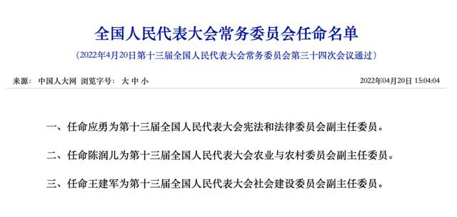 赴京工作4个月后，应勇任最高人民检察院副检察长