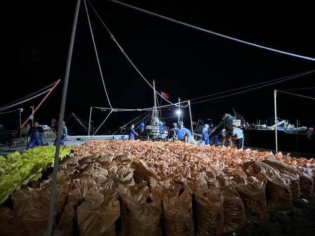台风来临前，嵊泗渔民抢收养殖贻贝减少损失。（受访者供图）