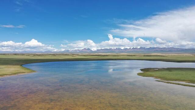 这是6月28日拍摄的位于青海省海西蒙古族藏族自治州天峻县苏里乡的草场。（新华社记者李占轶摄）