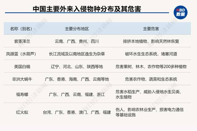 动物凶猛！狙击“咬人水怪”鳄雀鳝