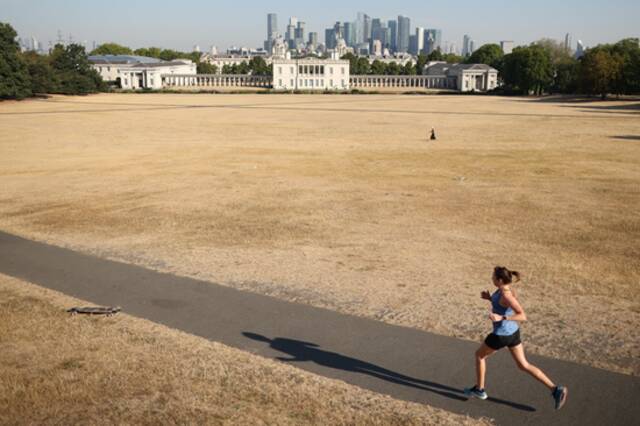  2022年8月14日，高温干旱天气下英国伦敦格林威治公园干枯的草坪。图