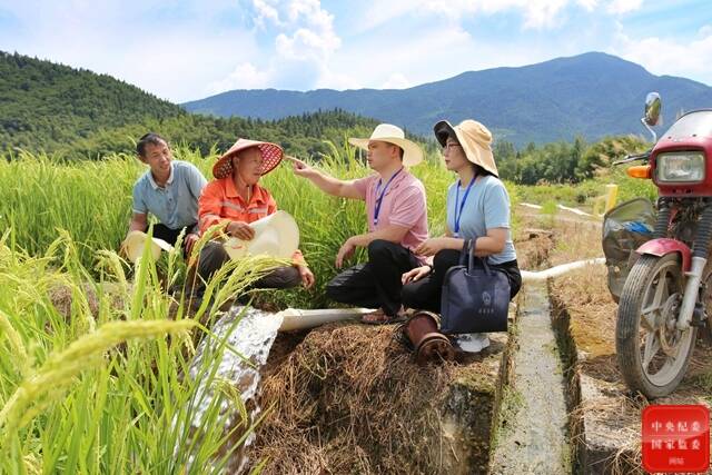 整治“微腐败” 一线解民忧