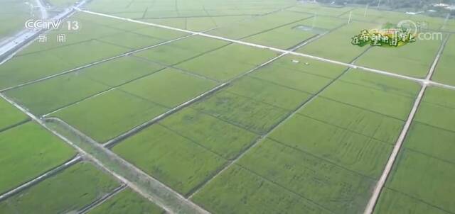 在希望的田野上  高效节水灌溉 节本增效产能提升