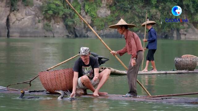 全球连线｜四季中国之白露：寒生露凝