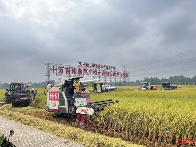 天府粮仓国家现代农业产业园的丰收景象