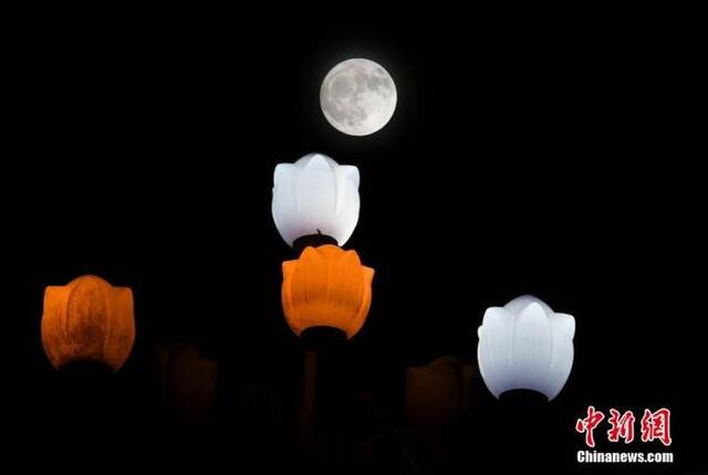资料图：中秋之夜，福州圆月当空照。中新社记者王东明摄