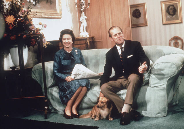 ↑伊丽莎白二世女王和菲利普公爵牵着他们的柯基犬看报