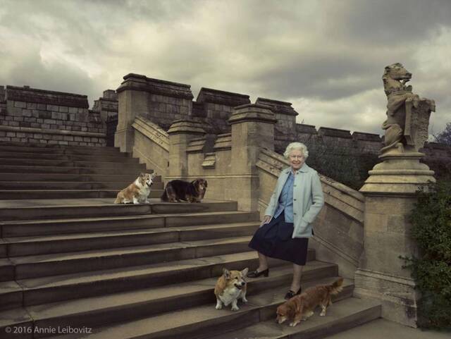↑英国女王伊丽莎白二世和柯基犬资料图
