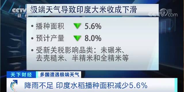 印度突然对大米下手！外国人想吃印度米，得先给印度政府交20%的税