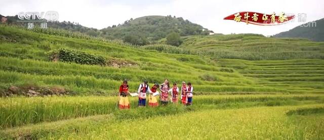 师恩与团圆共享  乡村教师推广阅读 做大山里的幸福播种人