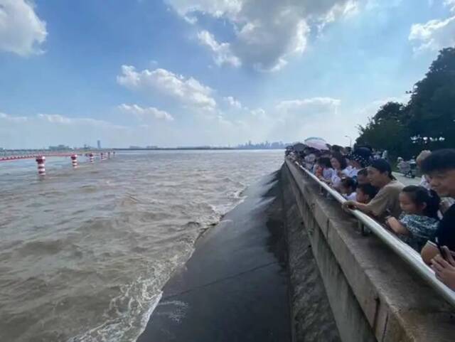 风雨潮三碰头，钱塘江年度大潮将推迟上演！最高潮或在这天出现