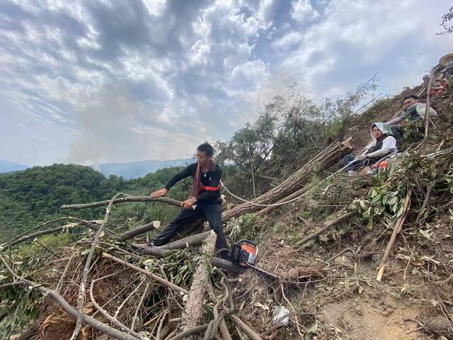 重庆山火中，一位油锯手在悬崖边砍伐树木，几位志愿者帮他牵着安全绳。受访者供图