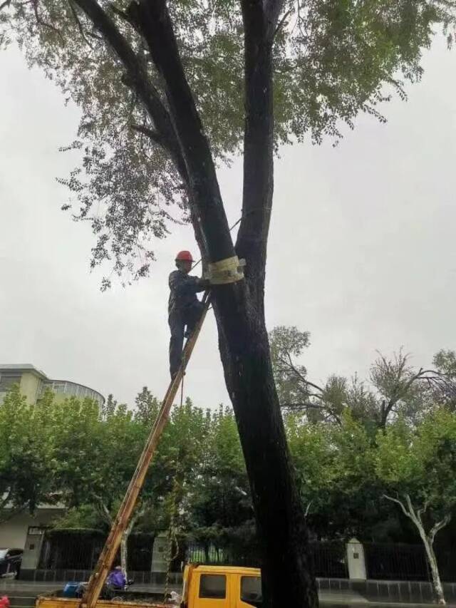 台风“梅花”横穿上海，为何没发红色预警？气象台回应！明天最高温重回30℃