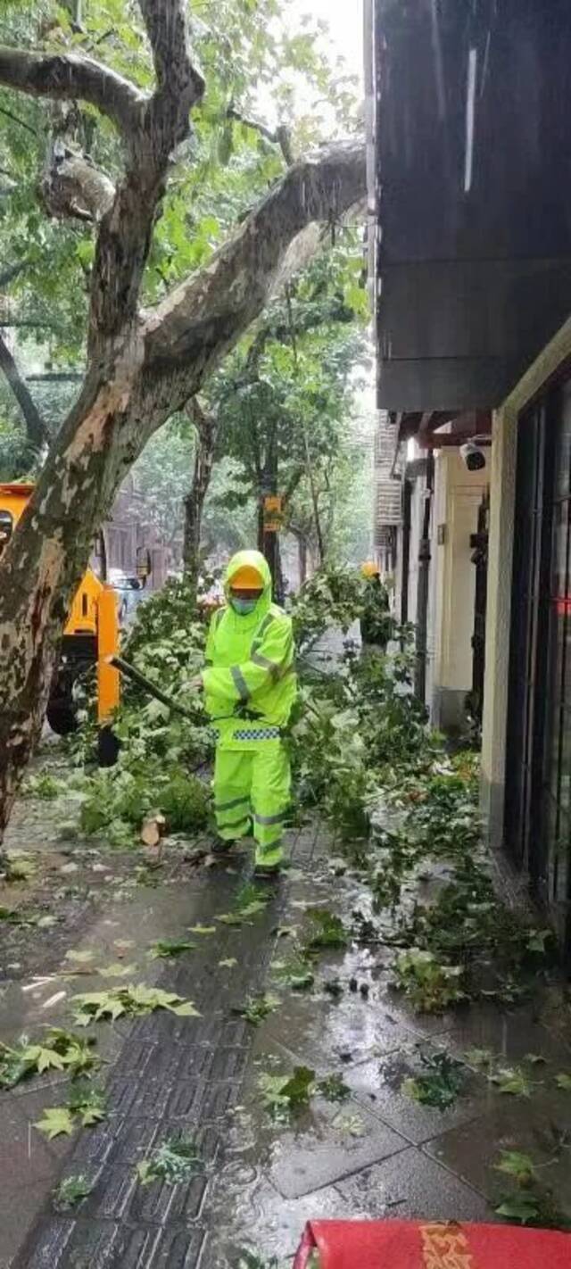 台风“梅花”横穿上海，为何没发红色预警？气象台回应！明天最高温重回30℃