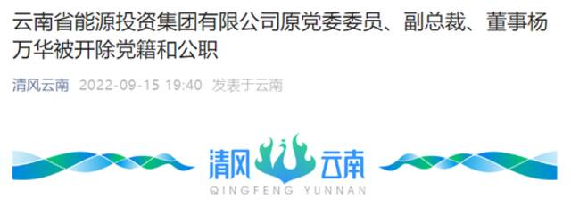 云南省能源投资集团有限公司原党委委员、副总裁、董事杨万华被双开