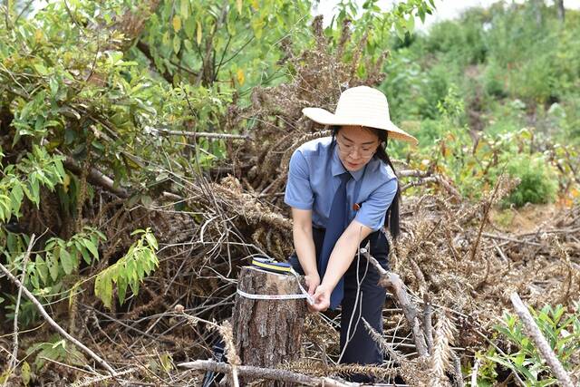 2022年9月,冯辉在桂阳县仁义镇大湖村滥伐林木现场调查取证。