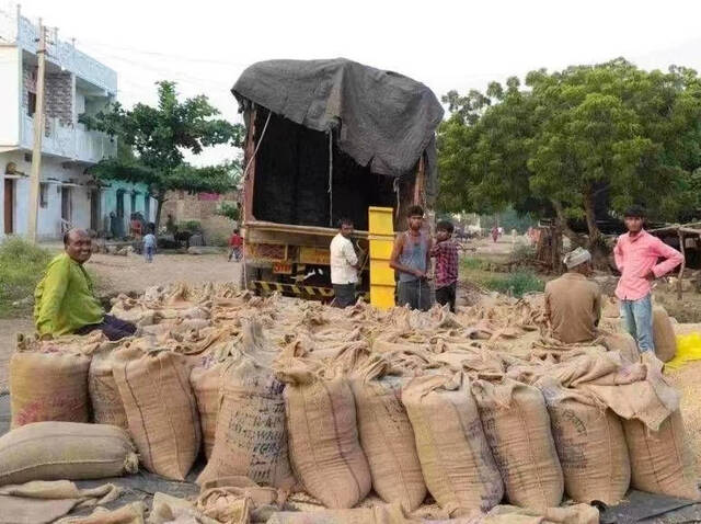 一些消息闭塞的印度农民们把大米运到港口，才得知政府出台了出口禁令。（图源：社交媒体）