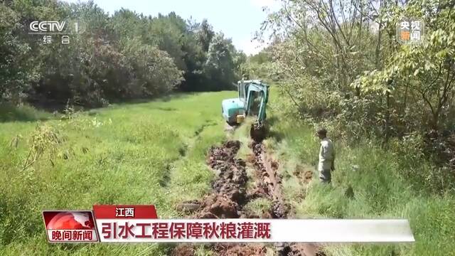 高温干旱持续 江西、湖北采取多种措施抗旱保秋粮