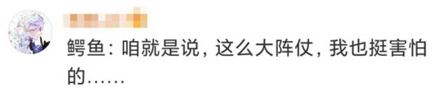 黄浦江边有鳄鱼晒太阳！是何品种、会不会伤人？专家判定