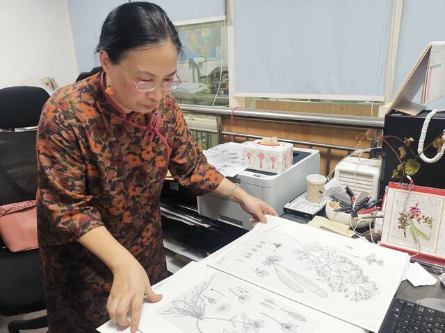 刘运笑在办公室展示她的植物科学画。新京报记者张璐摄