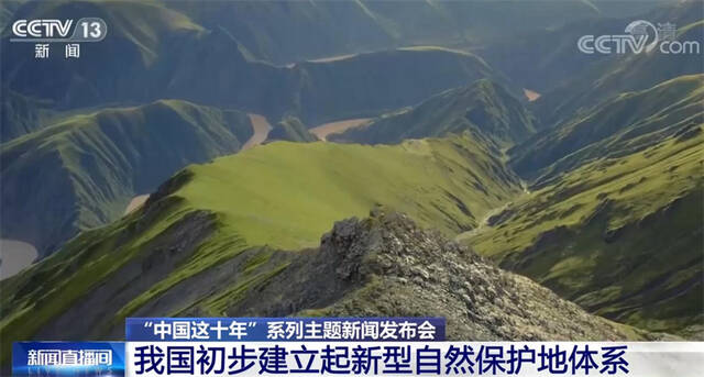 中国这十年  我国初步建立起新型自然保护地体系