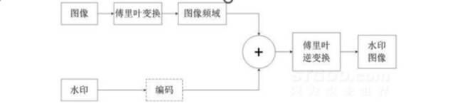 知乎“盲水印”风波背后：季亏损扩大122% 知名股东纷纷减持