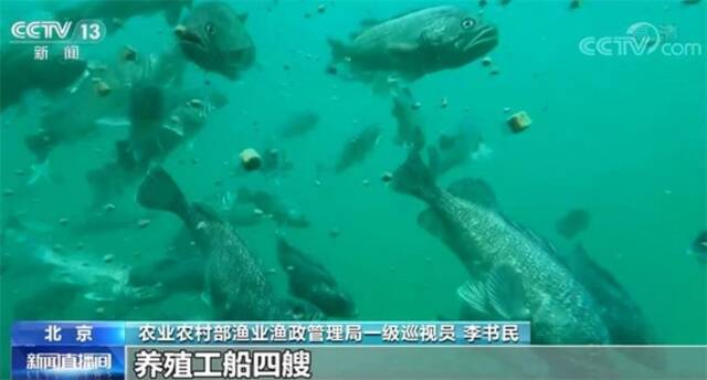 我国多地“海上粮仓”迎丰收 智能化技术填补多项空白