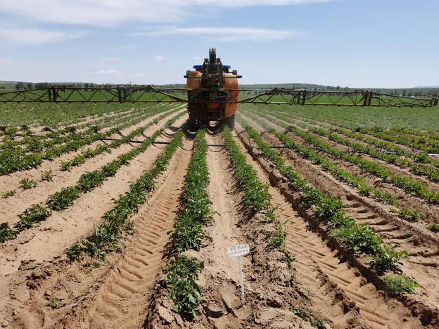 五寨县现代加工型马铃薯种植示范基地里，农民在对马铃薯进行田间植保。（受访者供图）