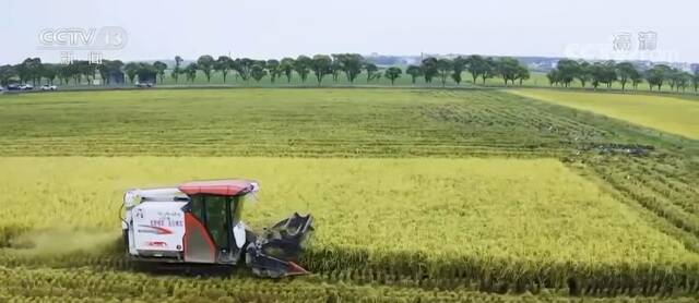 中国农民丰收节  基础设施提档升级 提升粮食生产能力