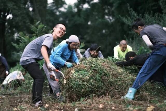 铁牛村“新村民”来自北上广：在土扎根 建未来乡村