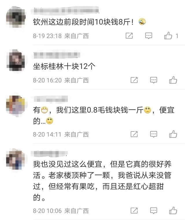 网友分享广西火龙果的价格图源：社交媒体截屏