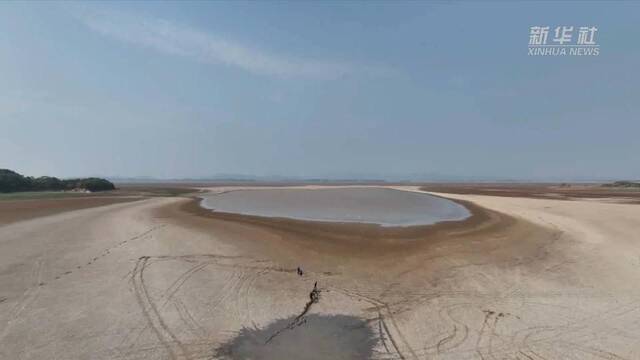 新华全媒+丨江西：为鄱阳湖候鸟“留水”