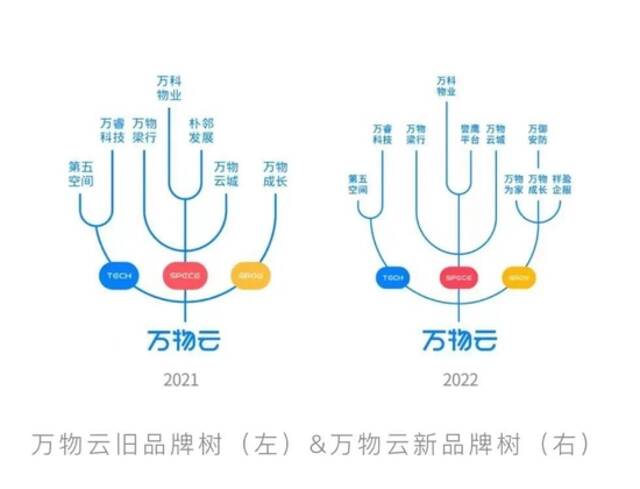 来源：官网截图