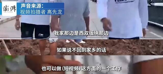 毕业论文被鸡吃了？拍摄者：视频内容虚构，如有雷同，你也学农？